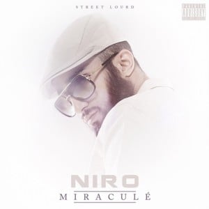 Perdu - Niro