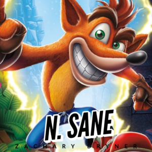 N.Sane - Zachary Bryner