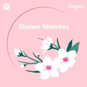 Lost in Japan (Spotify Singles) - Shawn Mendes