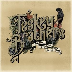 Man Of The Universe - The Teskey Brothers