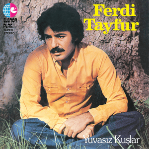 Ümit Dolu Yıllarım - Ferdi Tayfur