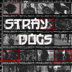 STRAYDOGS (Superior Sessions Live) - Felip (SB19)