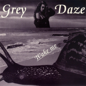 Starting To Fly - Grey Daze