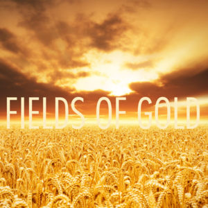 Fields of Gold - Tyler Ward (Ft. Lindsey Stirling & Peter Hollens)