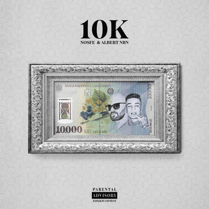 10K - NOSFE & AlbertNBN