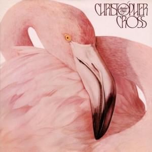 What Am I Supposed To Believe - Christopher Cross