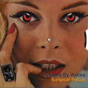 Fly Into Ashes - Guided by Voices