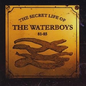 Bury My Heart - The Waterboys