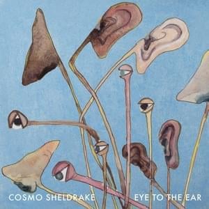 Breathe Round Corners - Cosmo Sheldrake