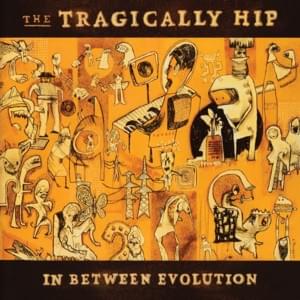 You’re Everywhere - The Tragically Hip