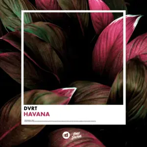 Havana - DVRT