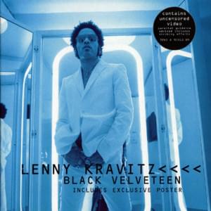 Black Velveteen - Lenny Kravitz