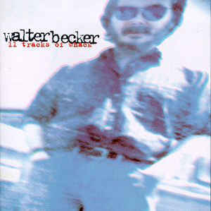 Book of Liars - Walter Becker