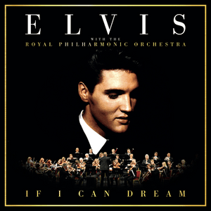 Bridge Over Troubled Water [If I Can Dream] - Elvis Presley