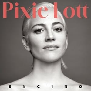 Fight Or Flight - Pixie Lott