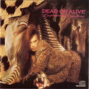 Absolutely Nothing - Dead or Alive