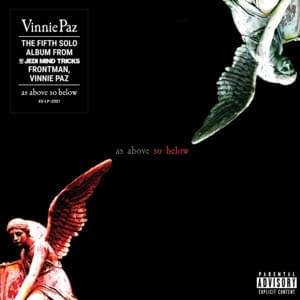 I Am the Chaos - Vinnie Paz