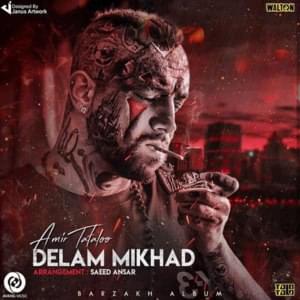 Delam Mikhad - Amir Tataloo