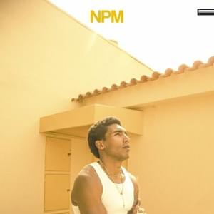 NPM - James dos Reis