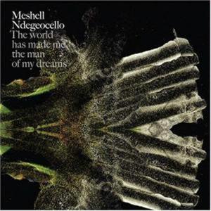 Michelle Johnson - Meshell Ndegéocello