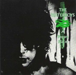 The Madness Is Here Again - The Waterboys