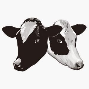 Cows - Prod. Somebody (Ft. Bably, Big G, Grr, J (Rapper), Lil BigMac, Probably not Red & Taejo the Ho)