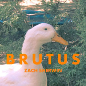 Duck I (Discovered) - Zach Sherwin