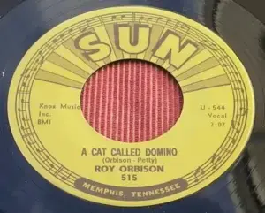 A Cat Called Domino - Roy Orbison