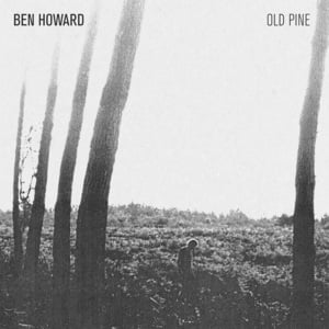 Follaton Wood - Ben Howard