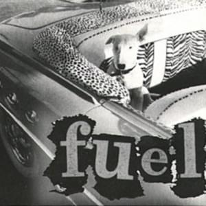 Gray - Fuel