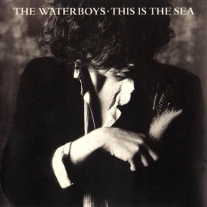 Be My Enemy - The Waterboys