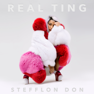 Dem Neva Warn Ya - Stefflon Don