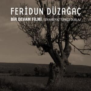 Yıldızlar - Feridun Düzağaç