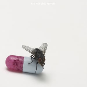 Did I Let You Know - Red Hot Chili Peppers