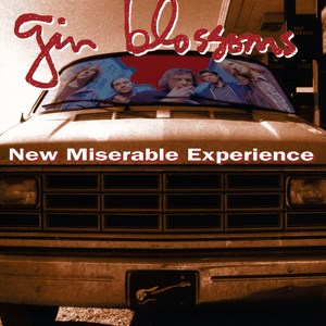 Mrs. Rita - Gin Blossoms