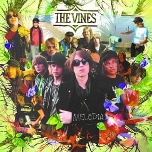 Orange Amber - The Vines