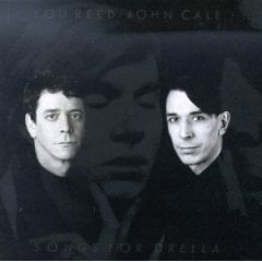 Hello It’s Me - Lou Reed, John Cale