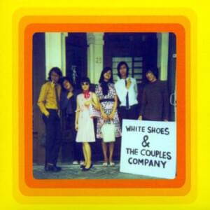 Nothing to Fear - White Shoes & The Couples Company