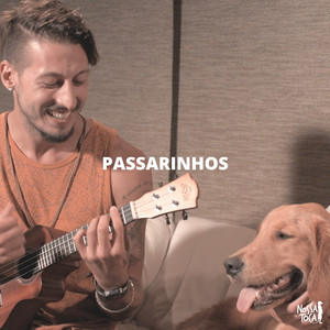 Passarinhos - Nossa Toca (Ft. Tha Leash & Pedro Schin)