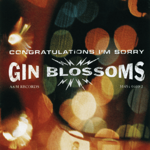 My Car - Gin Blossoms