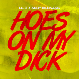 Hoes on My Dick - Lil B (Ft. Andy Milonakis)