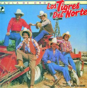 Por qué me quité del vicio - Los Tigres Del Norte