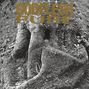 Mothra - Godflesh