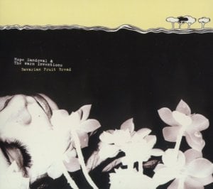 Clear Day - Hope Sandoval & the Warm Inventions