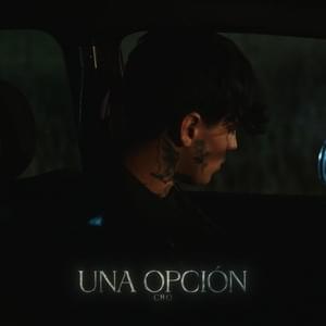 Una Opción - C.R.O (Bardero$)