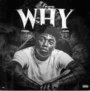 Why - Fredo Bang