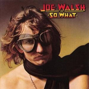 Welcome to the Club - Joe Walsh