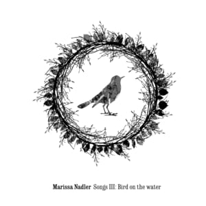 Famous Blue Raincoat - Marissa Nadler