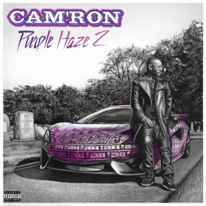 Toast to Me - Cam'ron