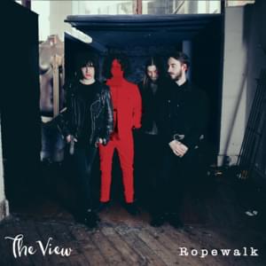 Voodoo Doll - The View